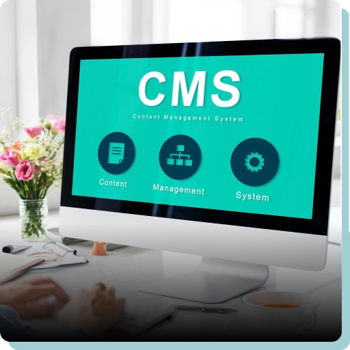 CMS Development